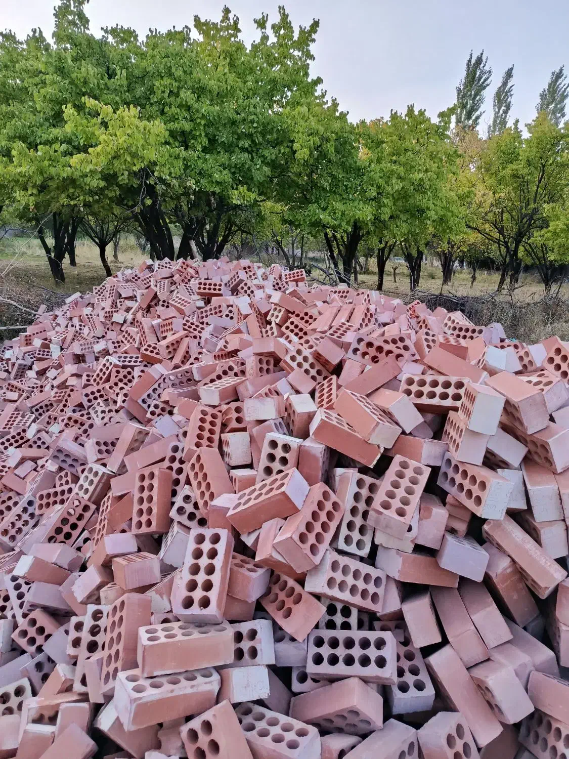 بلوک سفال  آجر|عمده‌فروشی|کرمان, |دیوار