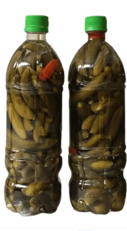 خیارشور درجه یک ویژه|خوردنی و آشامیدنی|تهران, خزانه|دیوار