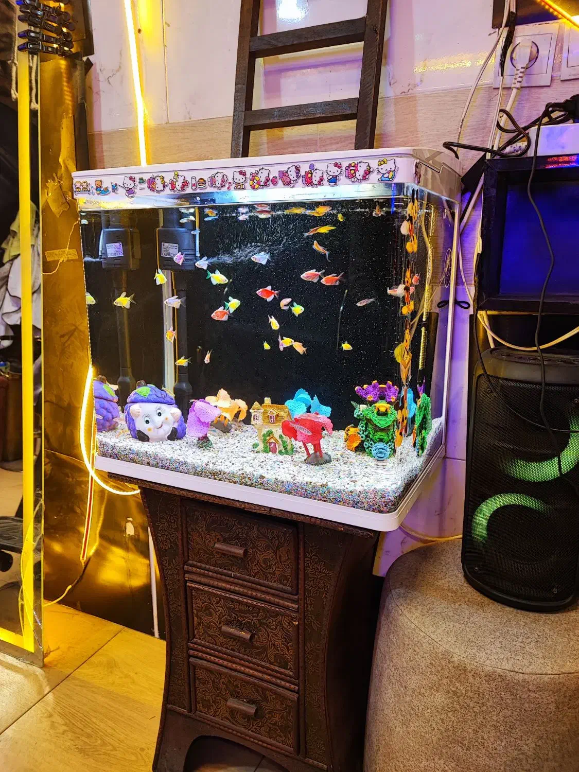 آکواریوم شرکتی کارتونی همراه ماهی|ماهی|تبریز, |دیوار