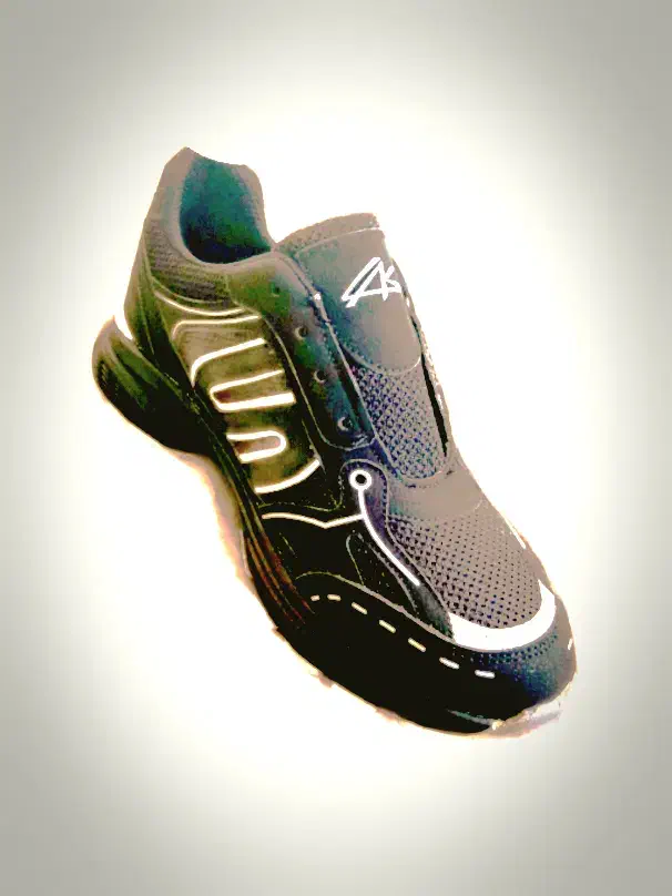 کفش زنانه|کیف، کفش، کمربند|نیشابور, سرآب کوشک|دیوار