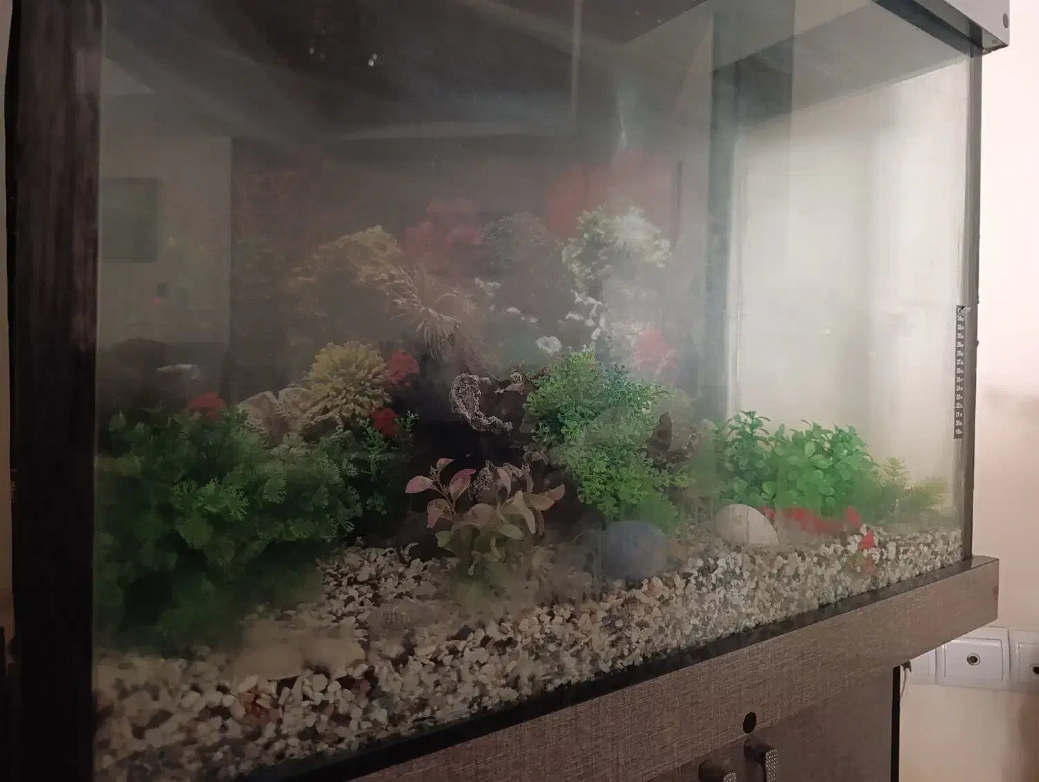 آکواریوم به همراه وسایل و کمد ام دی اف|ماهی|قدس, شهرک فرزان|دیوار