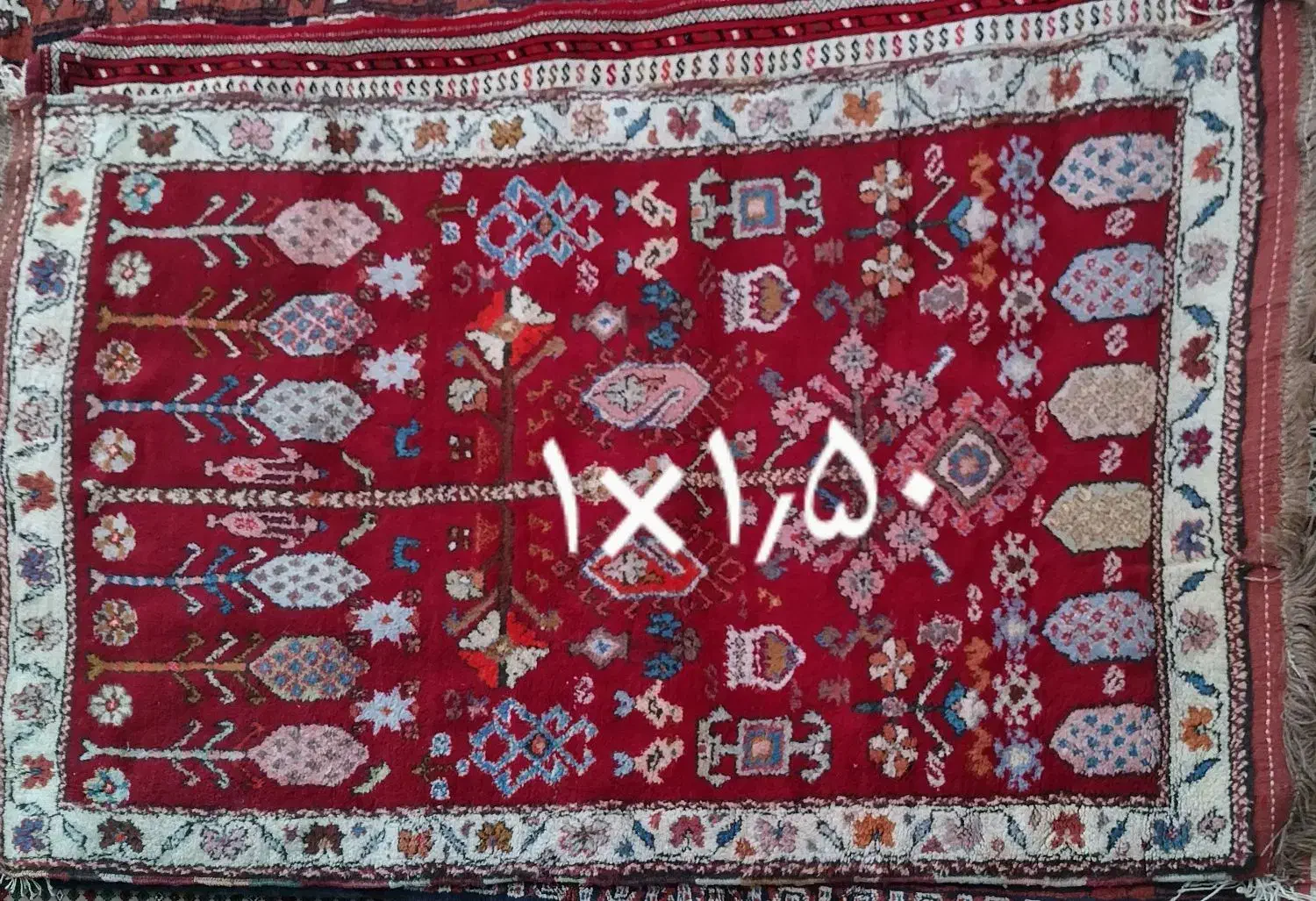 قالیچه|فرش|بجنورد, |دیوار