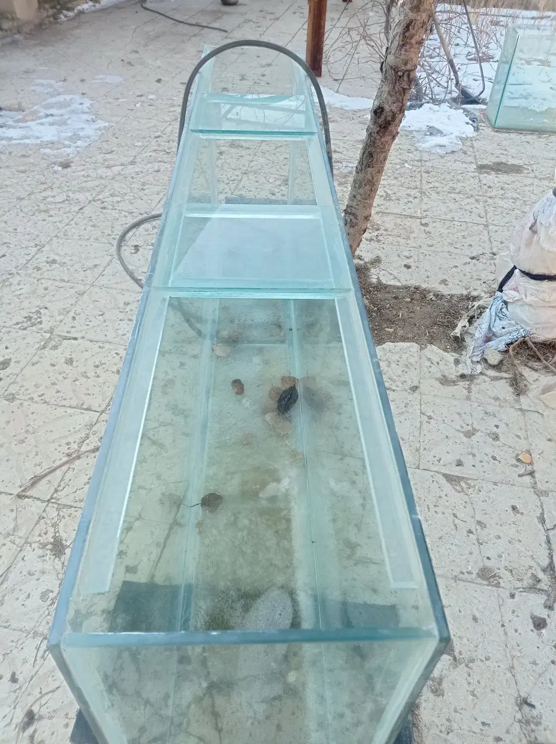 آکواریوم دو متری و شیشه خم|ماهی|کبودرآهنگ, |دیوار