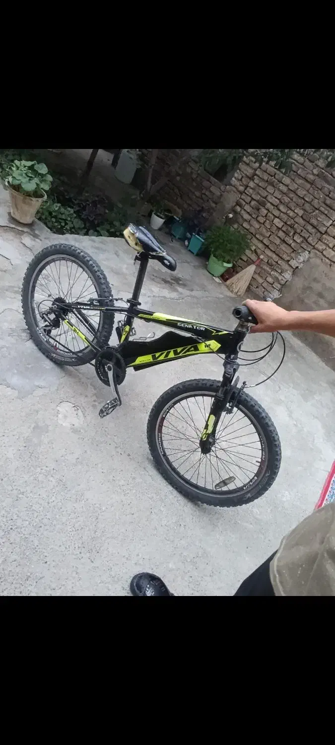 دوچرخه ۲۴ ویوا در حد نو|دوچرخه، اسکیت، اسکوتر|مرند, |دیوار