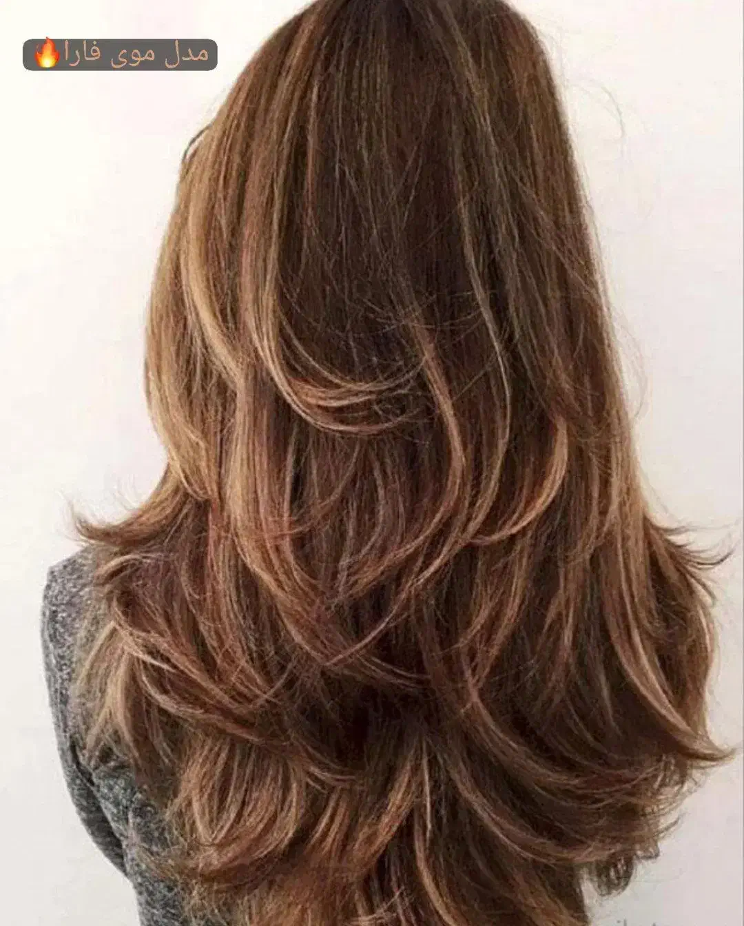 رنگ مو کوتاهی مو اصلاح رایگان|خدمات آرایشگری و زیبایی|سنقر, |دیوار