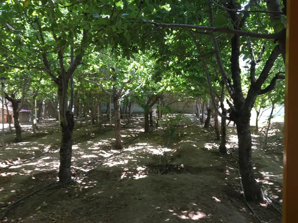 ویلا باغ کردان کوهسار|فروش خانه و ویلا|کوهسار (البرز), |دیوار