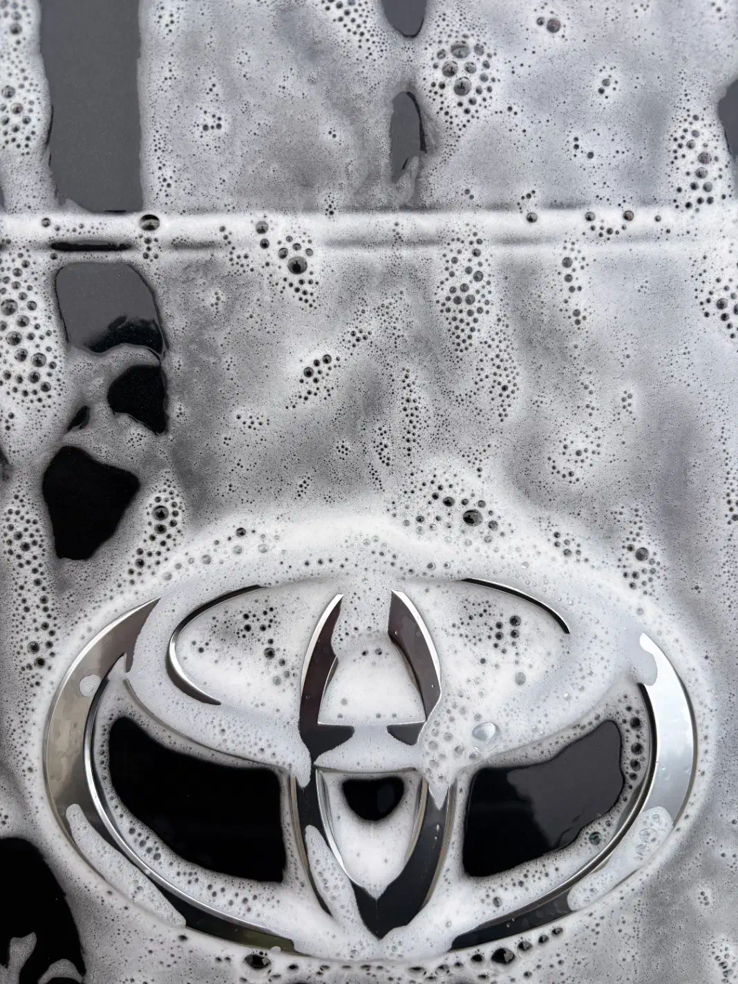 نیازمند نیرو کارواش کار|استخدام سرایداری و نظافت|چالوس, |دیوار