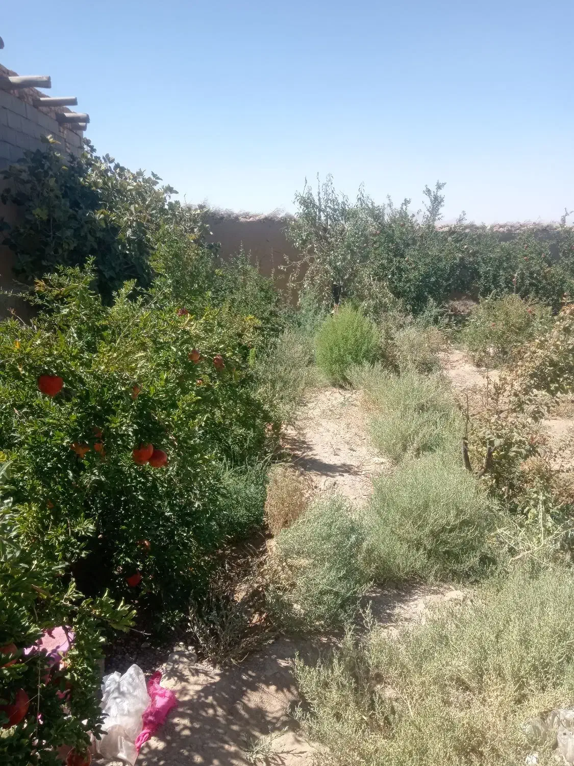 انبار وباغ|فروش زمین و ملک کلنگی|شهرضا, |دیوار