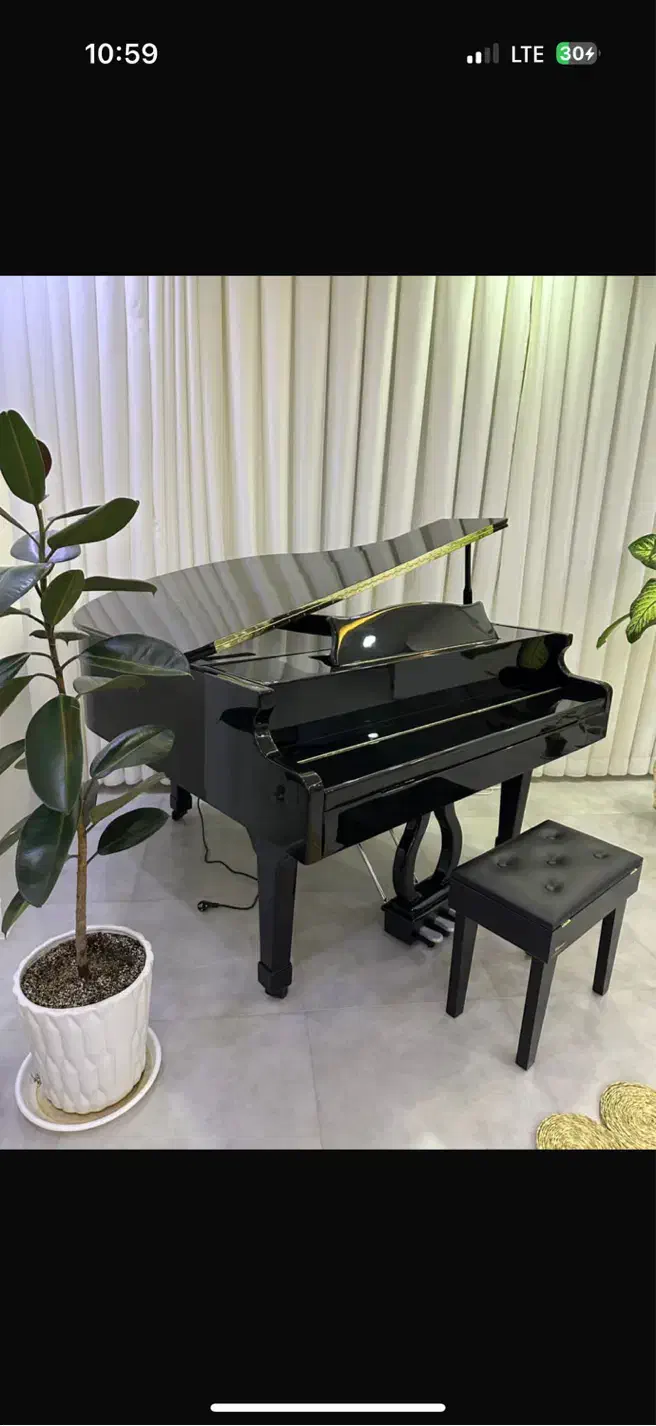 پیانو گرند مدل کاسیو|پیانو، کیبورد، آکاردئون|بوشهر, |دیوار