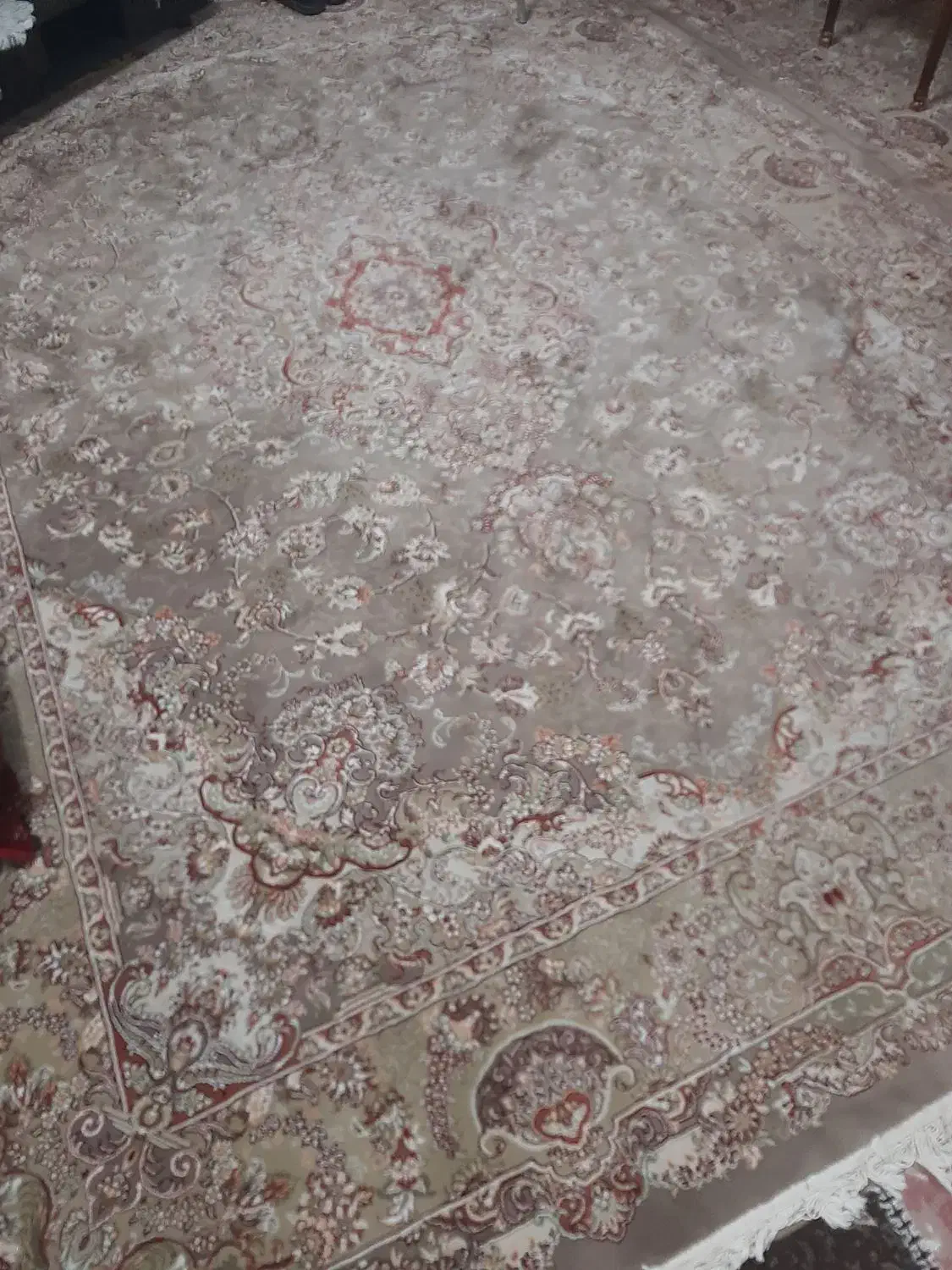 فرش ۹متری|فرش|اصفهان, طامه|دیوار