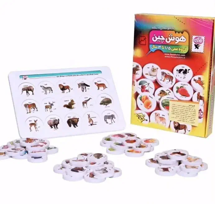 هوش چین|اسباببازی|زنجان, |دیوار