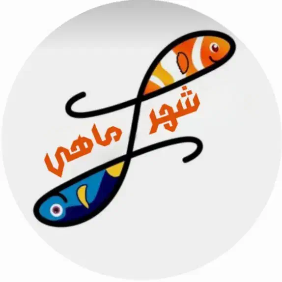 ماهی.لوازم پلنت.|ماهی|کرمانشاه, |دیوار