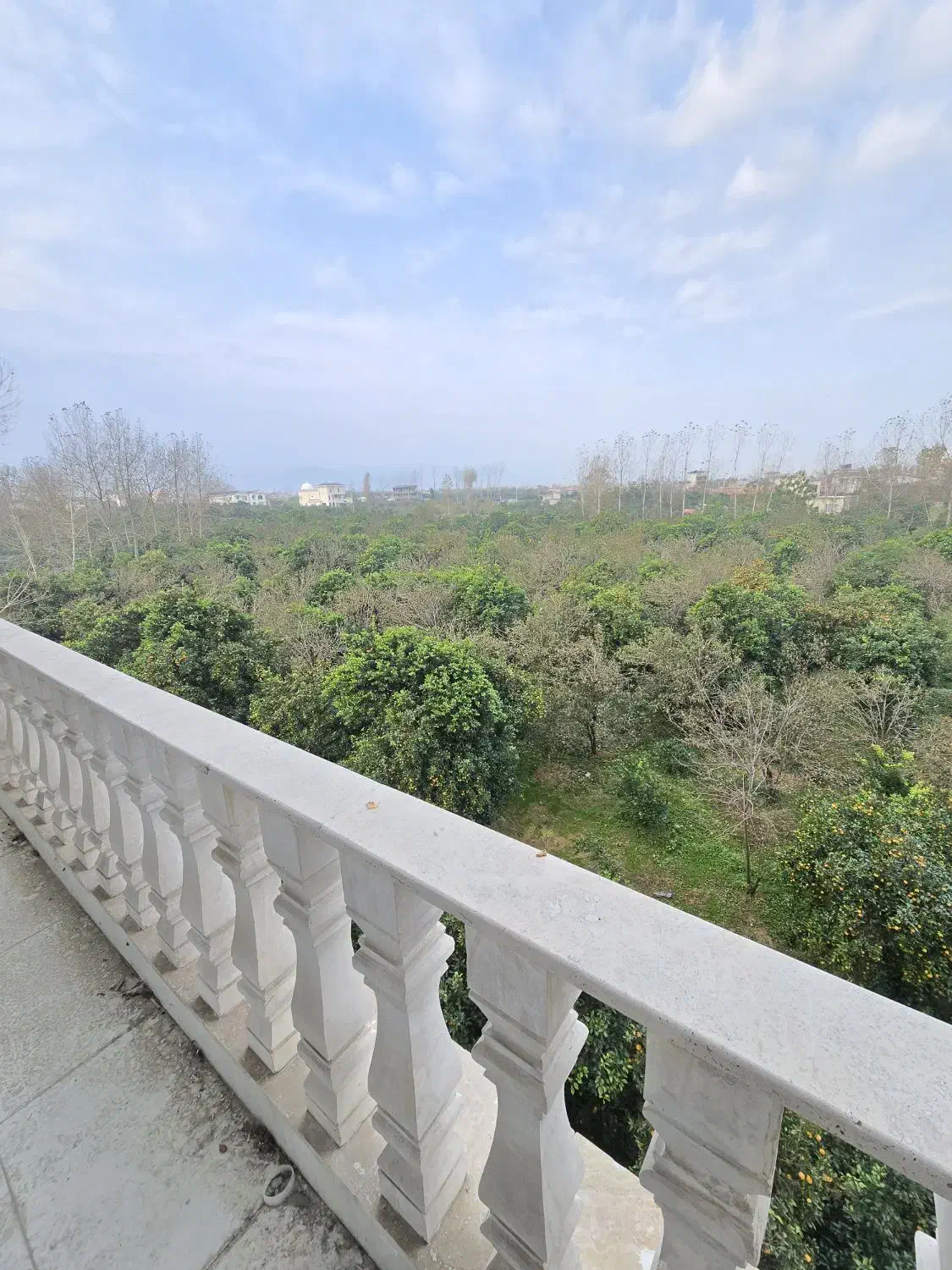 ۱۲۵متر نوساز کلید نخورده فردوسی غربی/دید ابدی جنگل|فروش آپارتمان|تنکابن, |دیوار