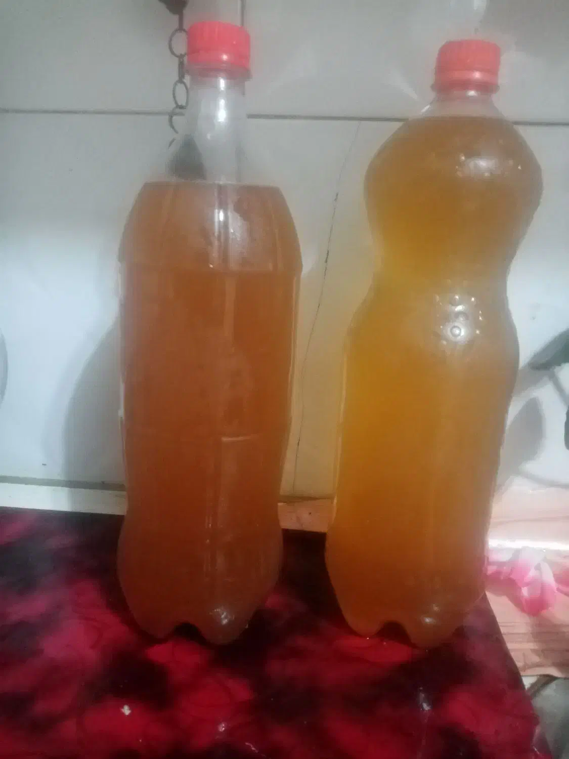 سرکه سیب و انگور|خوردنی و آشامیدنی|بناب, |دیوار