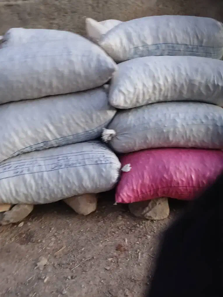 بلوط|خوردنی و آشامیدنی|سیوان, |دیوار