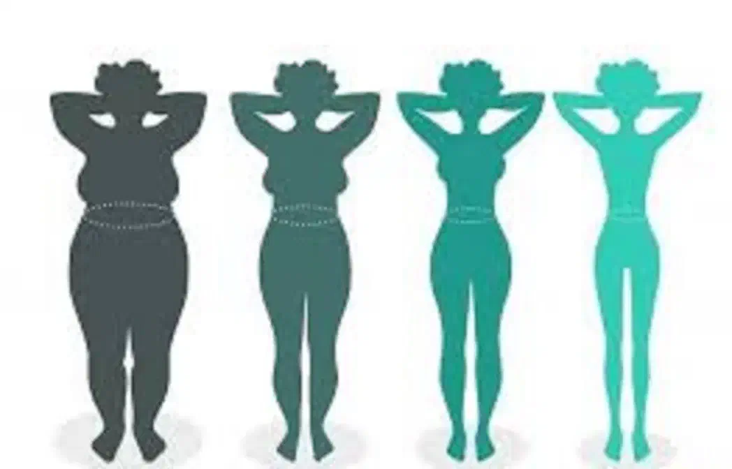 امبدینگ لاغری با شرایط اقساط|خدمات آرایشگری و زیبایی|اصفهان, مسجد مصلی|دیوار