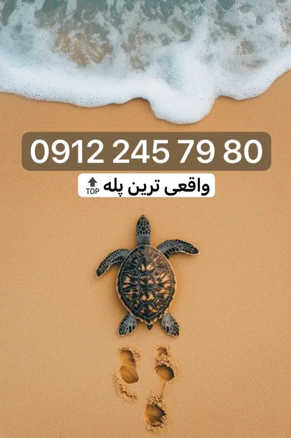 912.245.79.80|سیمکارت|قزوین, |دیوار