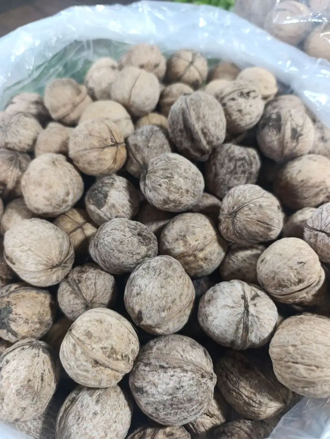 گردو ایرانی|خوردنی و آشامیدنی|مشهد, ده دی|دیوار