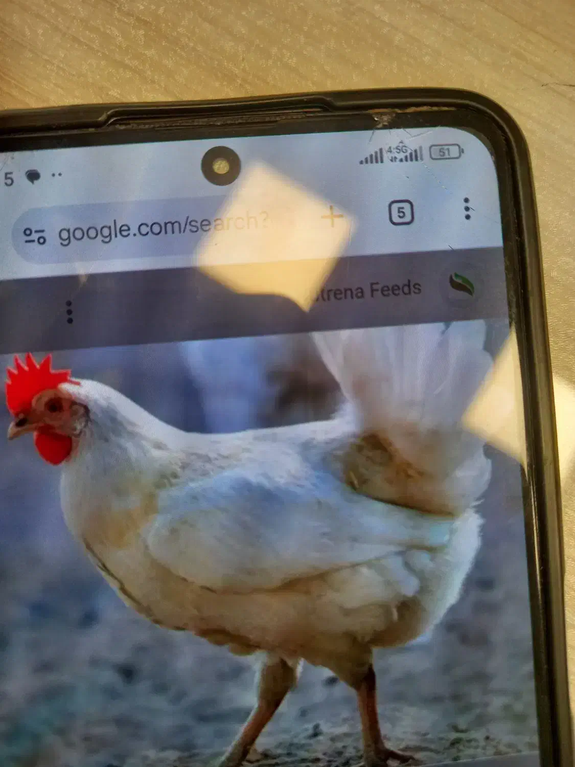 نیروی کاردرمرغداری گوشتی|استخدام صنعتی، فنی، مهندسی|گناباد, |دیوار