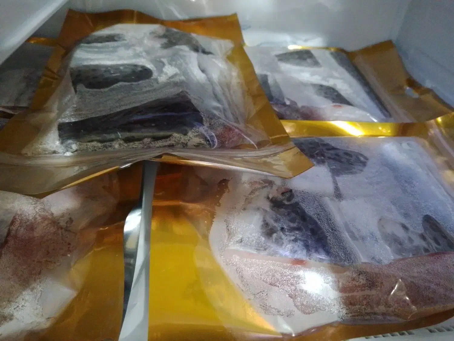 ماهی شیر تمیزشده|ماهی|قشم, |دیوار