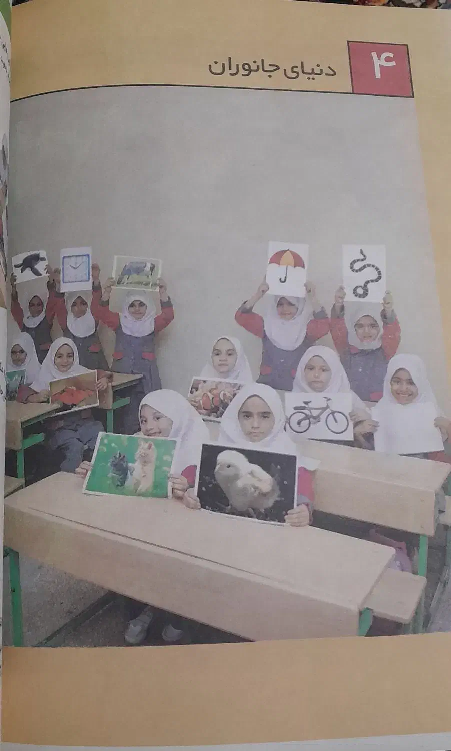 علوم اول ابتدایی نو|کتاب و مجله آموزشی|قم, سید معصوم|دیوار