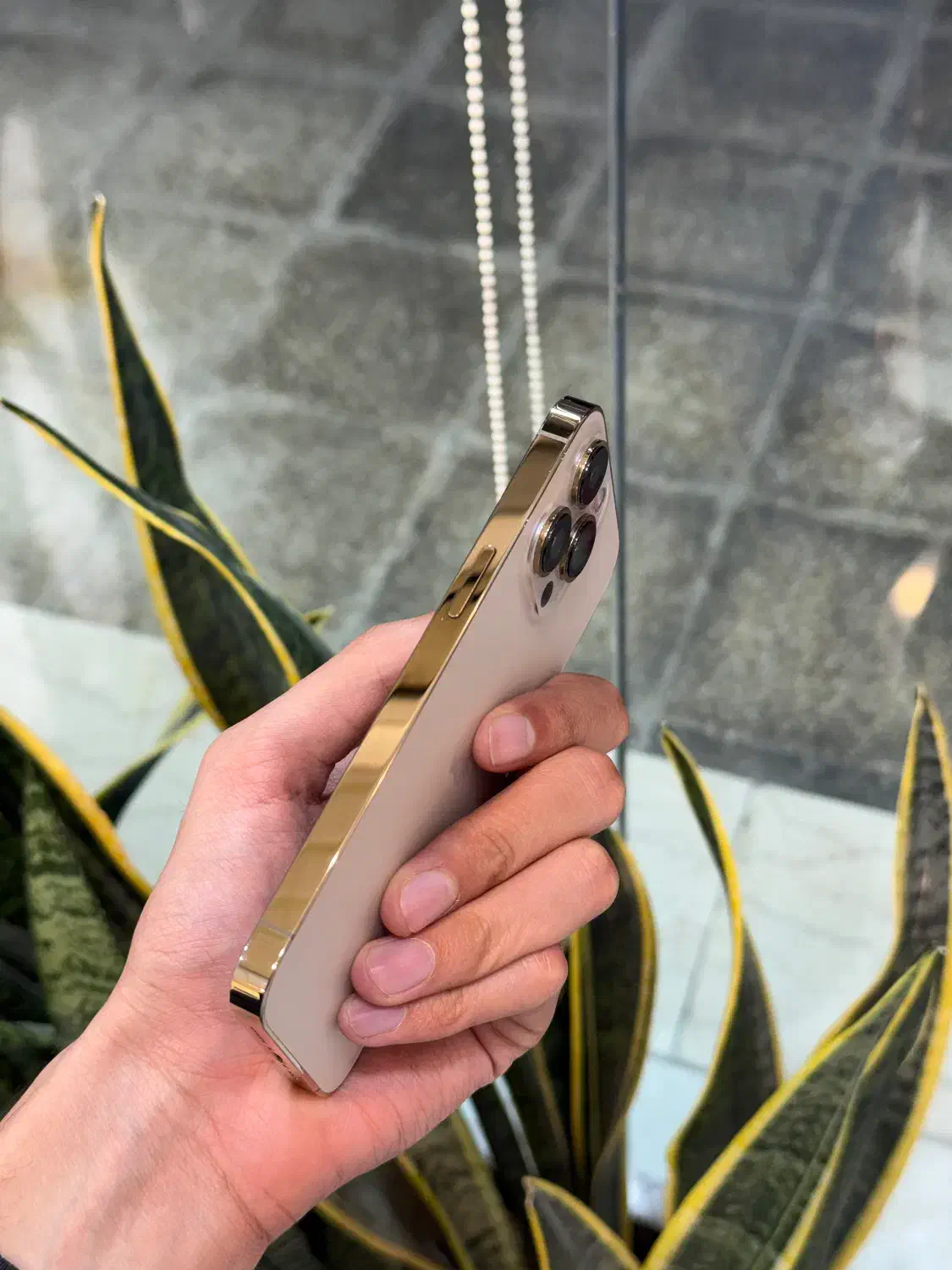 آیفون ۱۳ پرو|موبایل|لامرد, |دیوار