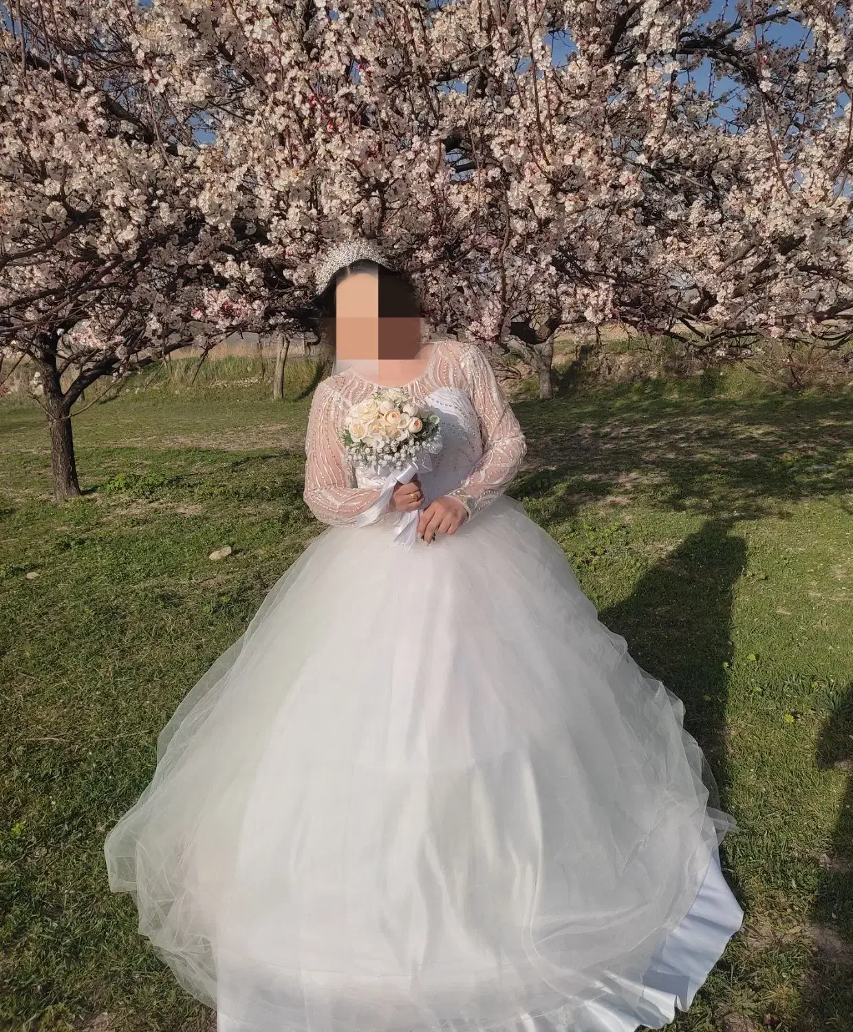 لباس عروس نو|لباس|آمل, |دیوار