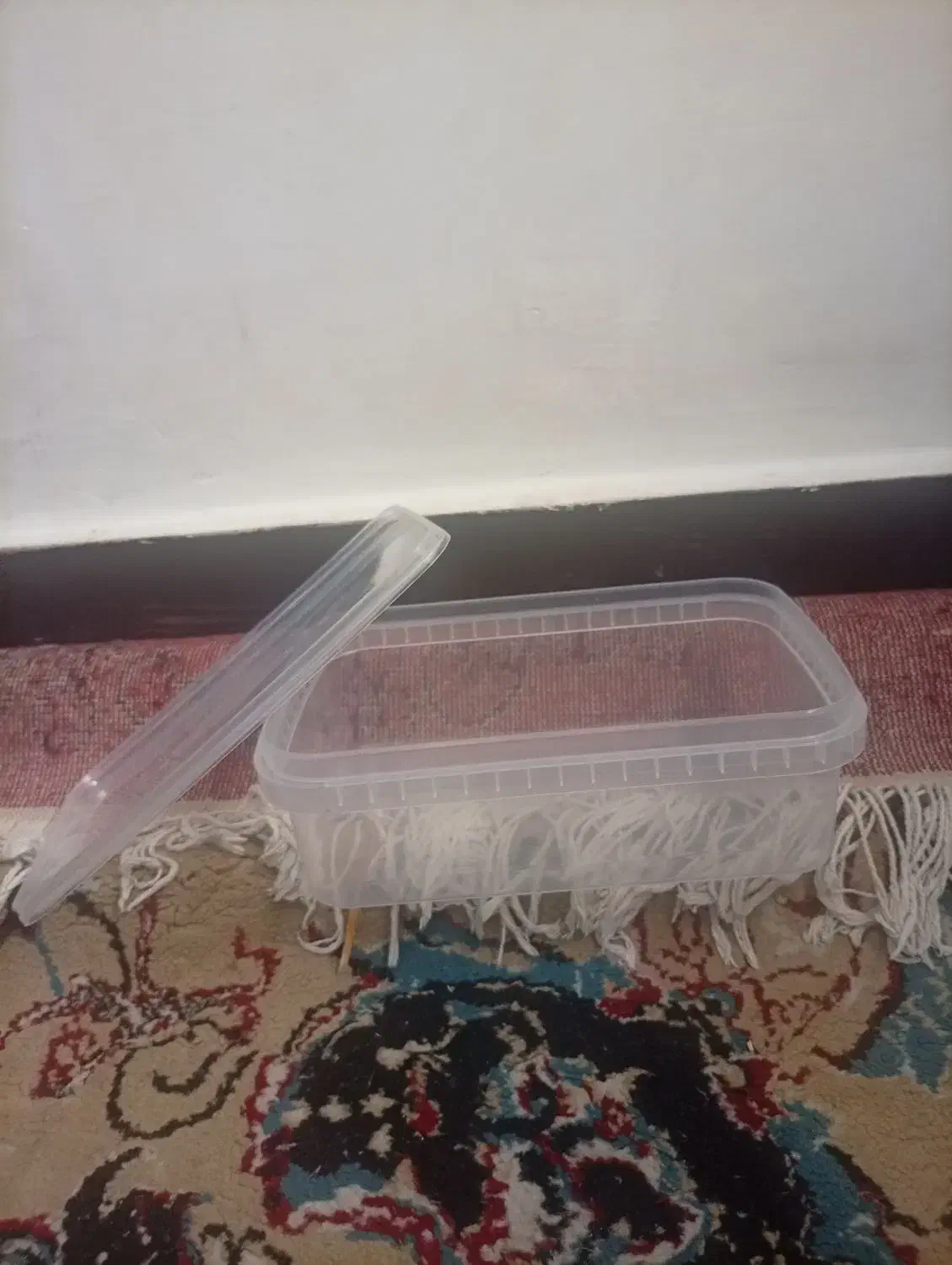 ظروف نگهدارنده غذا|ظروف نگهدارنده، پلاستیکی، یکبارمصرف|اهواز, کوی مهدیس|دیوار