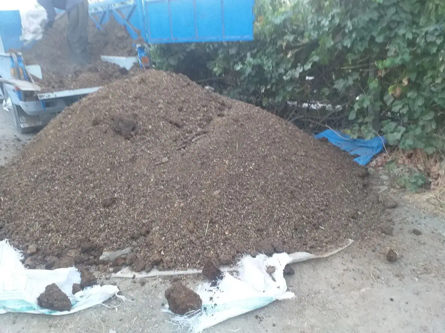 کود حیوانی پهن کوهنه|خدمات باغبانی و درختکاری|کامیاران, |دیوار