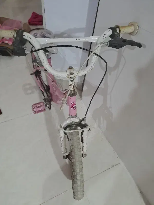 دوچرخه|دوچرخه، اسکیت، اسکوتر|صوفیان, |دیوار