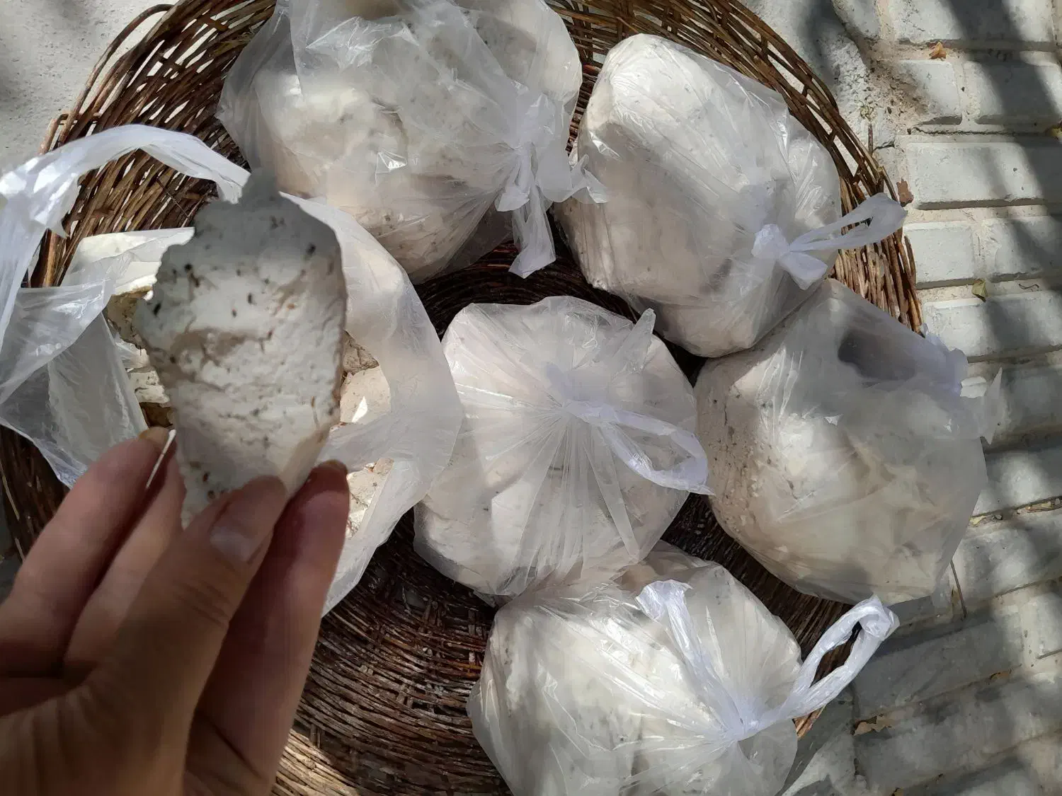 شیراز پوستی گوسفندی|خوردنی و آشامیدنی|آیسک, |دیوار