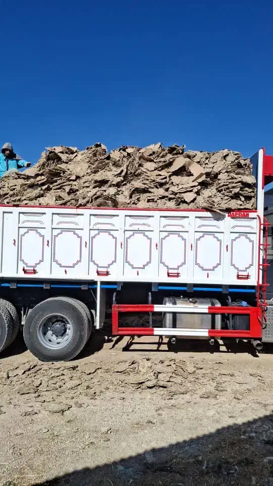 فروش کود مرغ سالنی به شرط|خدمات باغبانی و درختکاری|بندر کنگان, |دیوار