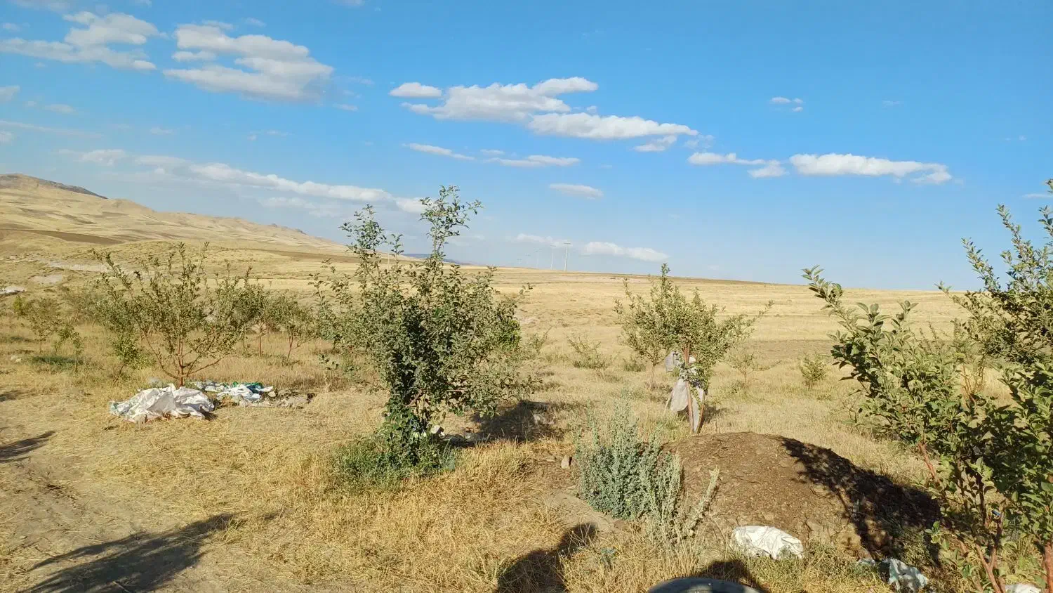 باغ ۱ هکتاری در روستای مشکین جیق بستان آباد|فروش زمین و ملک کلنگی|تیکمه داش, |دیوار