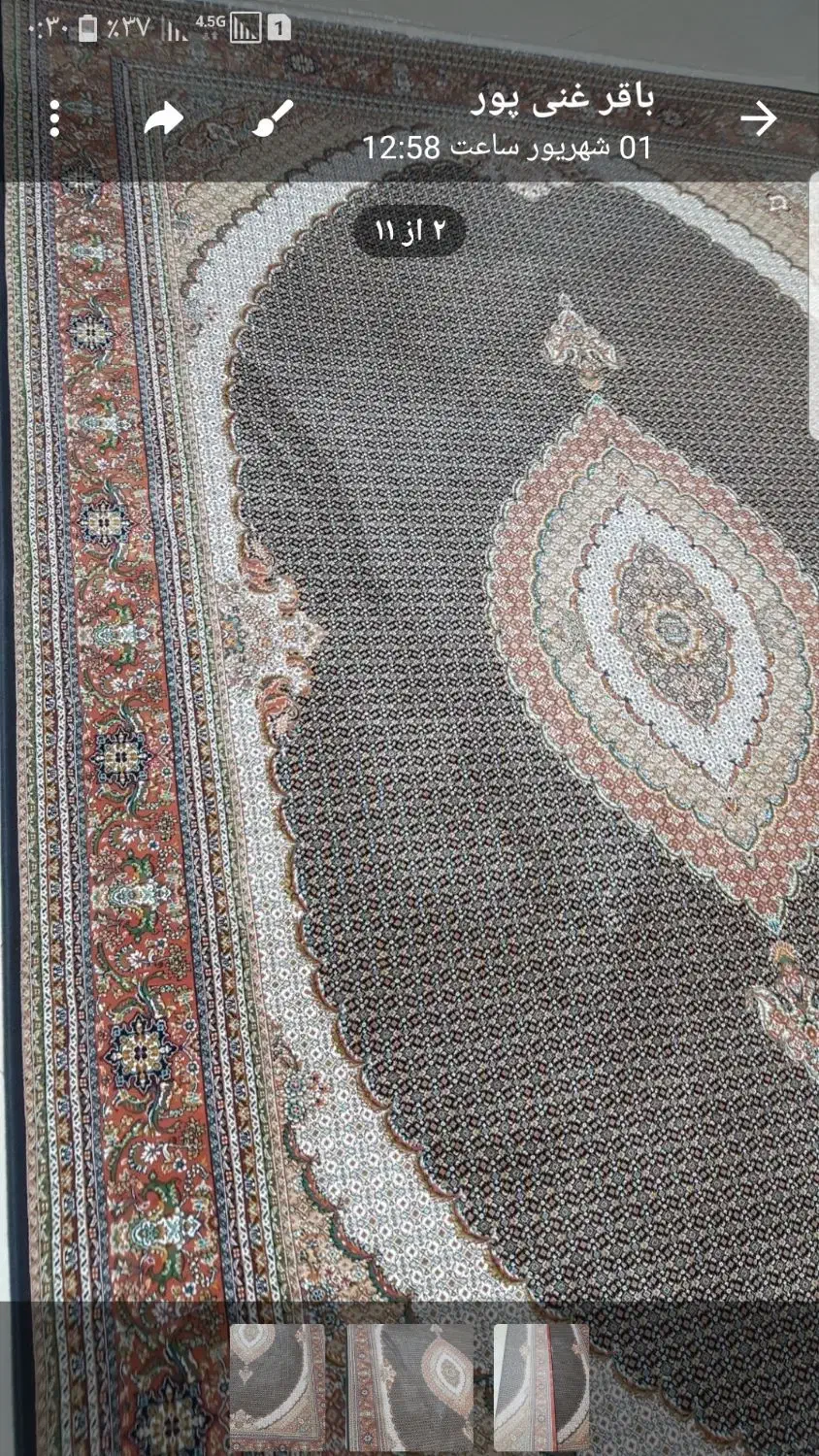 فرش کاخ|فرش|ارومیه, |دیوار