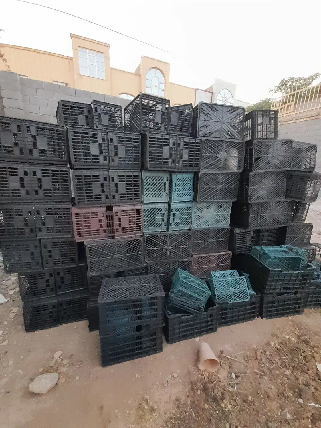 فروش سبد موز|ظروف نگهدارنده، پلاستیکی، یکبارمصرف|شهرضا, |دیوار