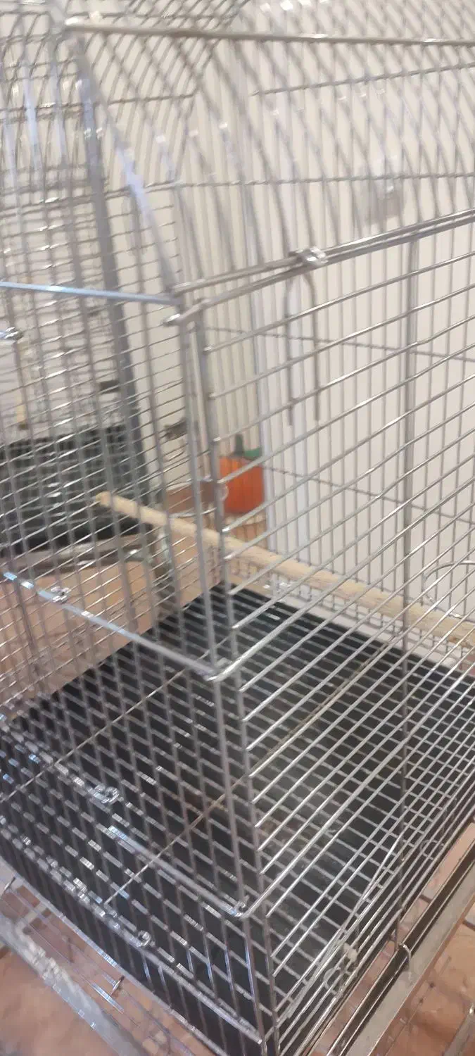 قفس پرنده|لوازم جانبی حیوانات|اندیشه, اندیشه فاز ۵|دیوار