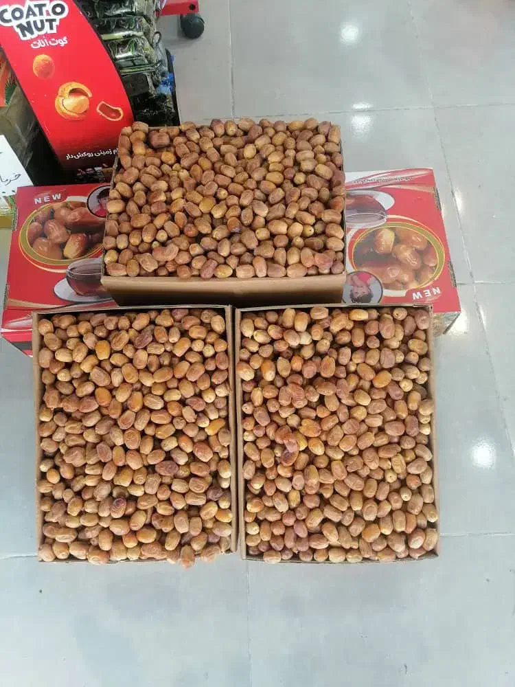 قصب|عمده‌فروشی|بوشکان, |دیوار