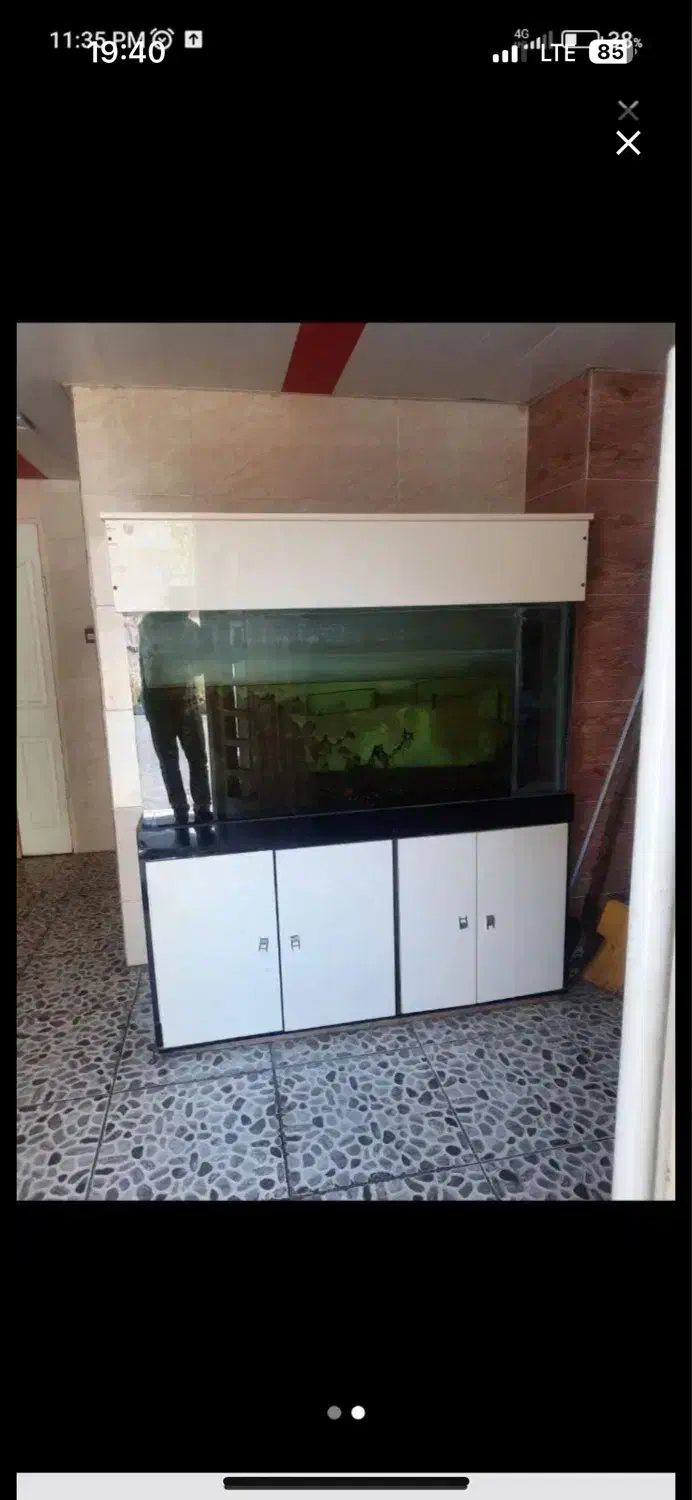 آکواریوم بزرگ|ماهی|تبریز, |دیوار