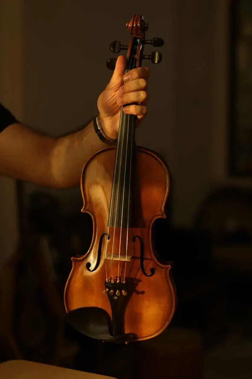 ویولن های فونیکس و ریچارد بونل|ویولن|همدان, |دیوار