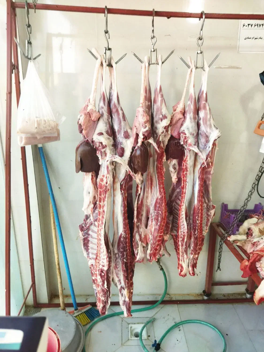 کهره،برهزندهوگوشتیدر،توابعارسنجان|حیوانات مزرعه|ارسنجان, |دیوار