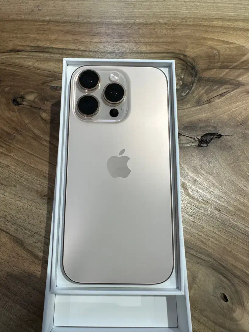 16 pro 256 GB|موبایل|تهران, هروی|دیوار
