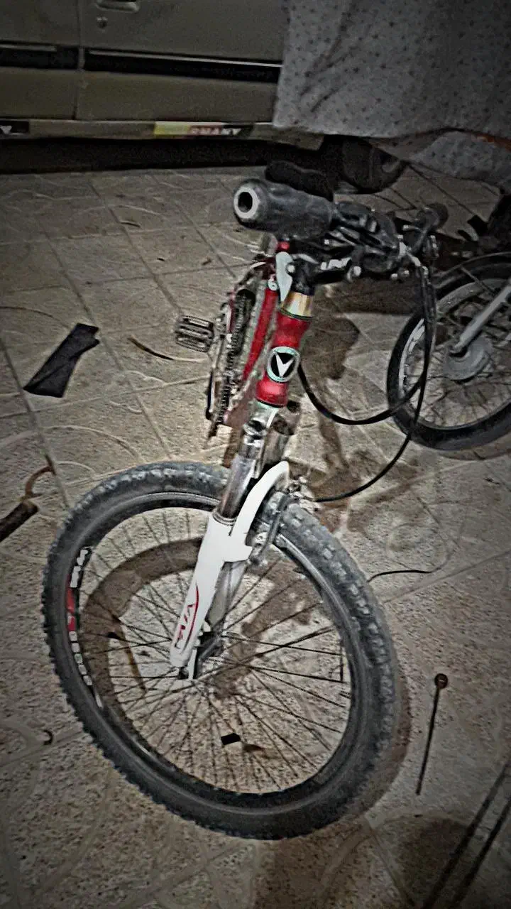 دوچرخه ویوا ۲۶ سند دار|دوچرخه، اسکیت، اسکوتر|اسفراین, |دیوار