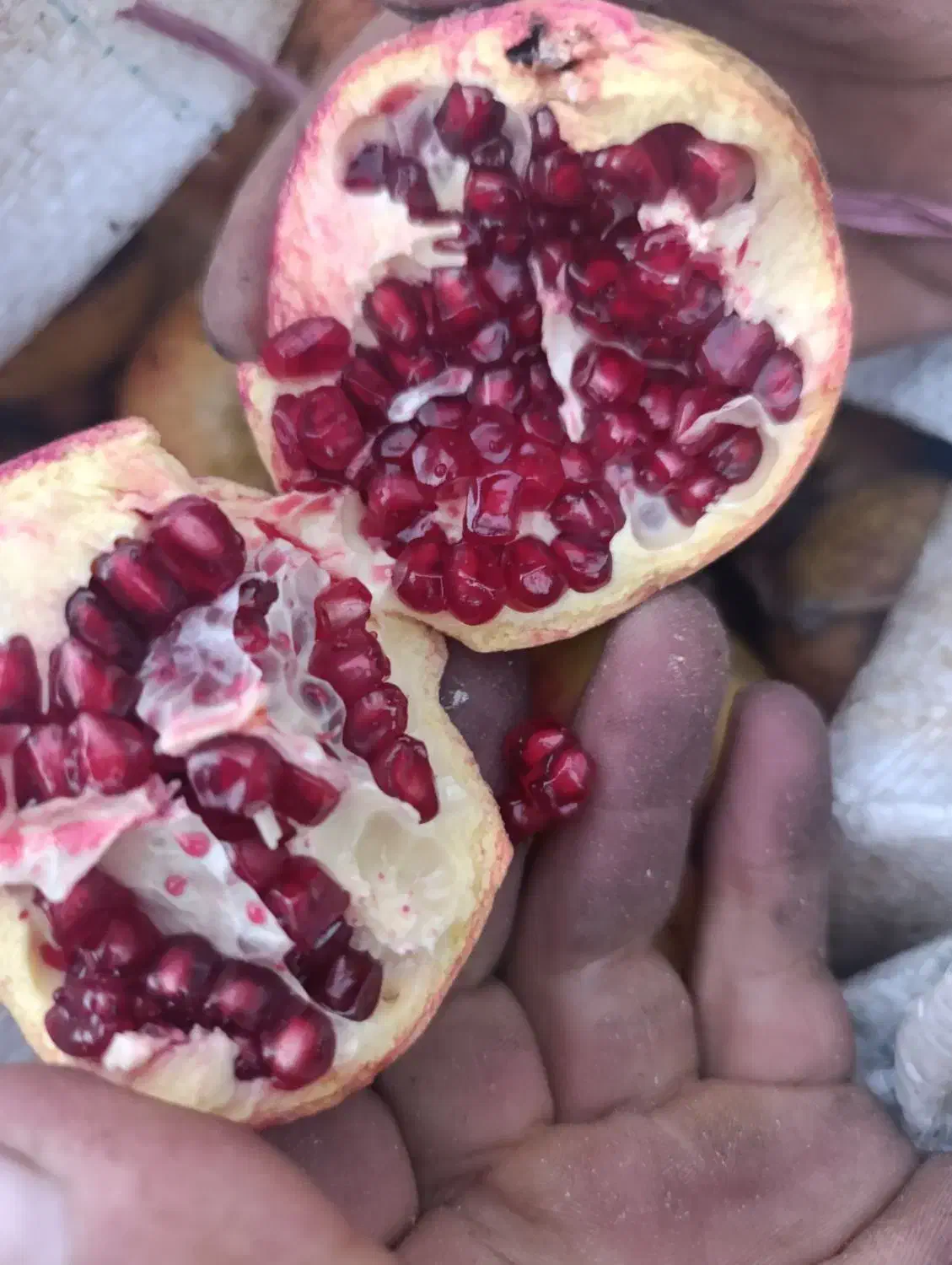 انار ترش زاغمرز|خوردنی و آشامیدنی|بهشهر, |دیوار