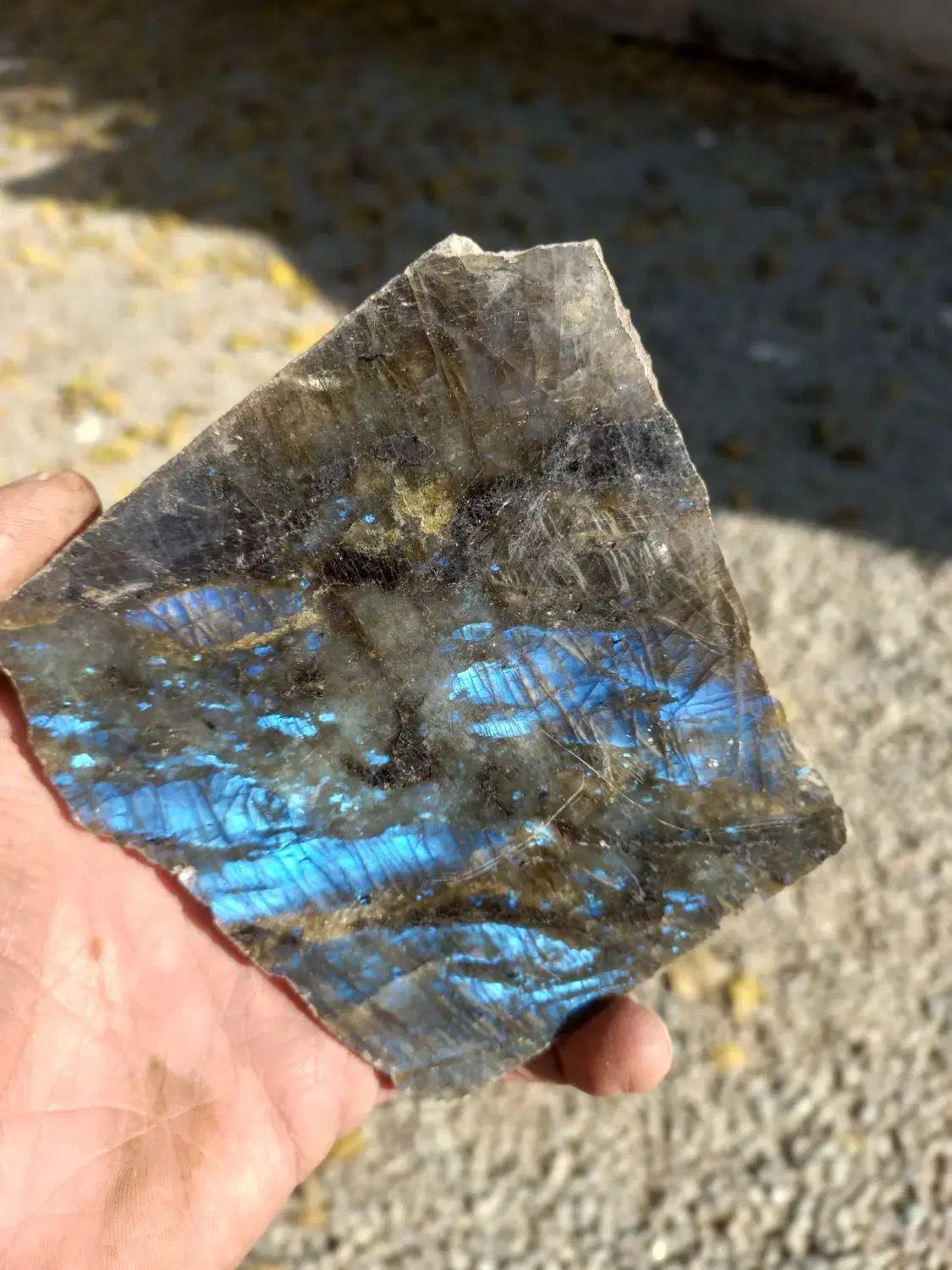 راف لابرادوریت عقیق فیروزه یشم|بدلیجات|باغستان, |دیوار