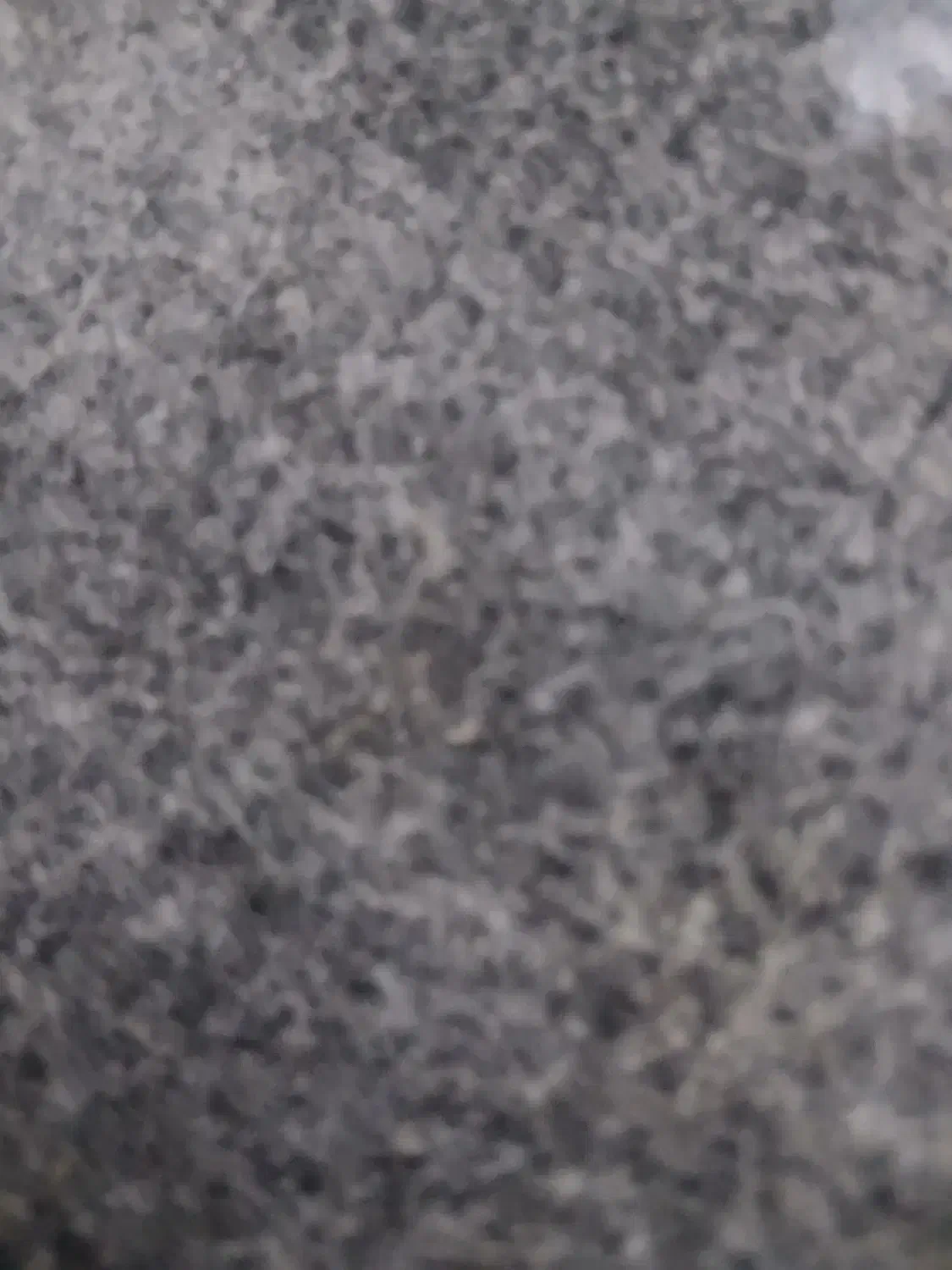 فروش زمین مسکونی|فروش زمین و ملک کلنگی|لیلان, |دیوار