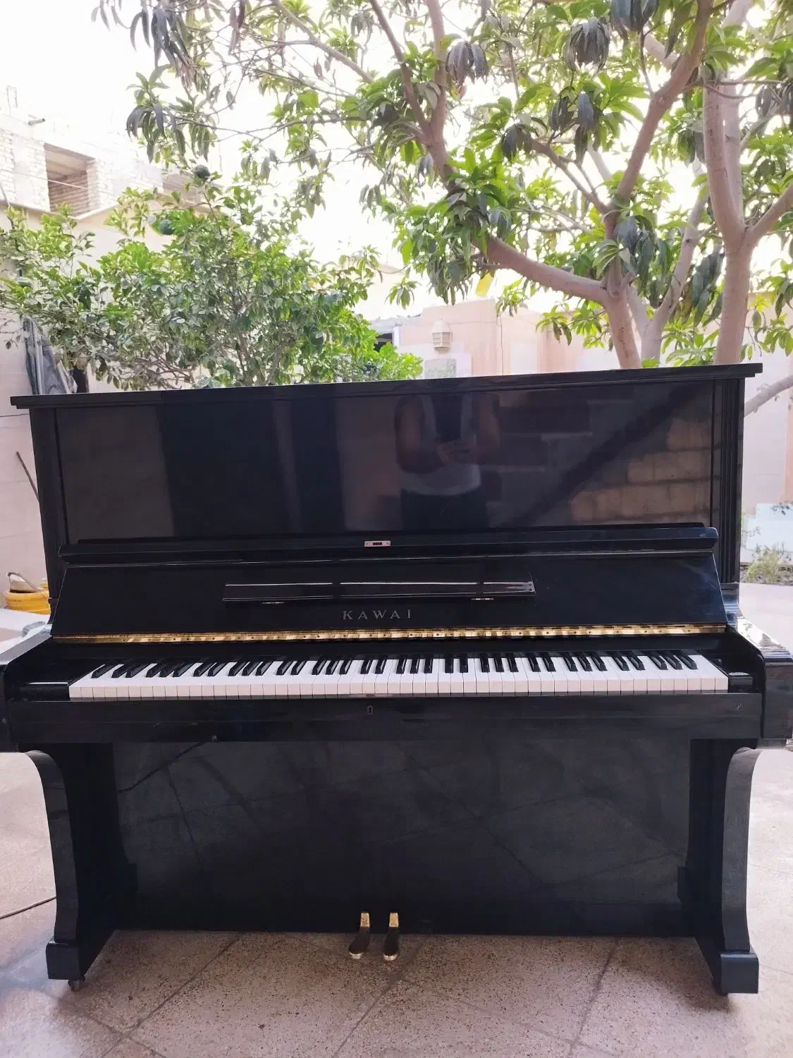 انواع پیانو اکوستیک|پیانو، کیبورد، آکاردئون|بندرعباس, |دیوار