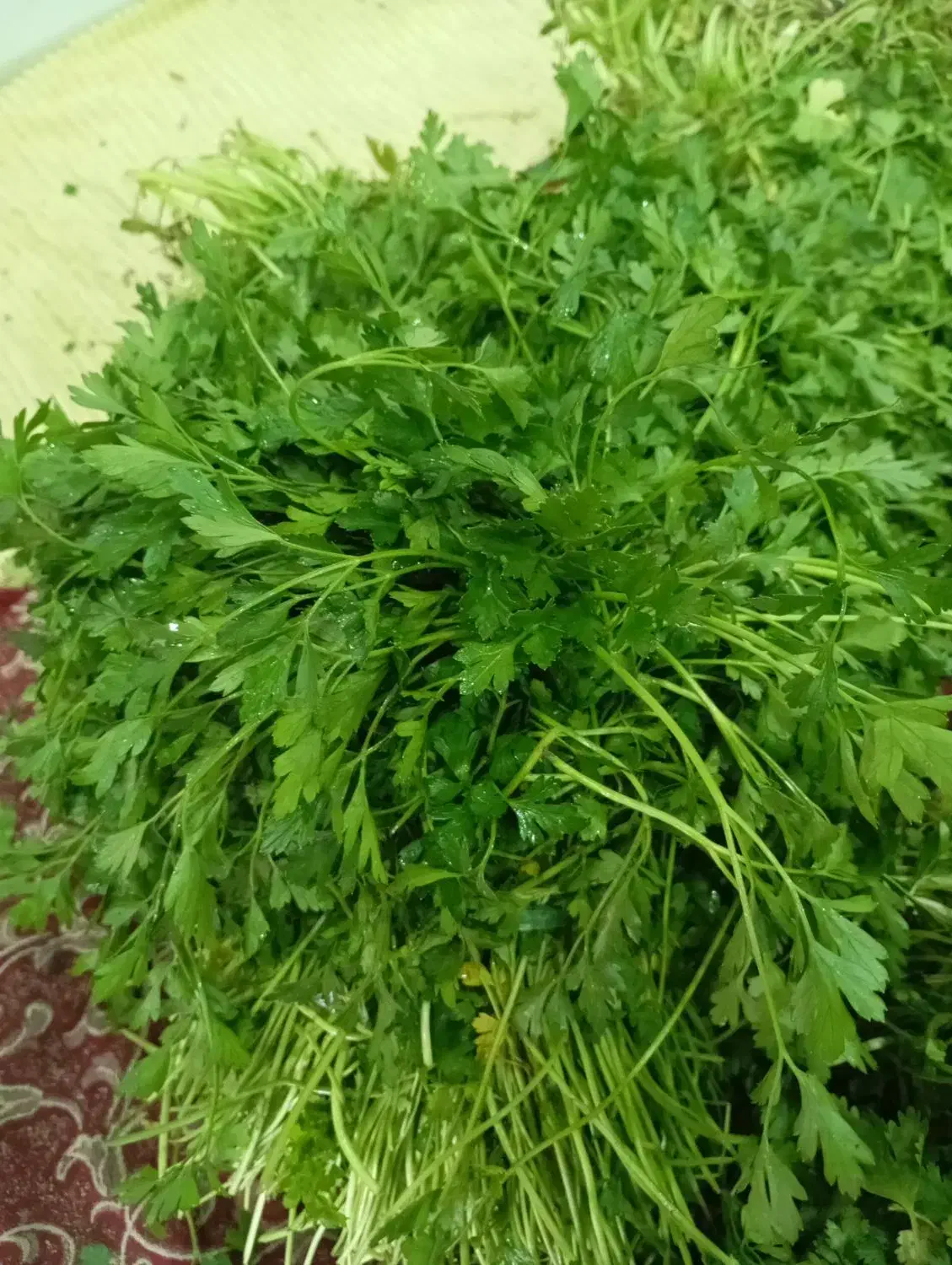 موسوی|خوردنی و آشامیدنی|تهران, بهمن یار|دیوار