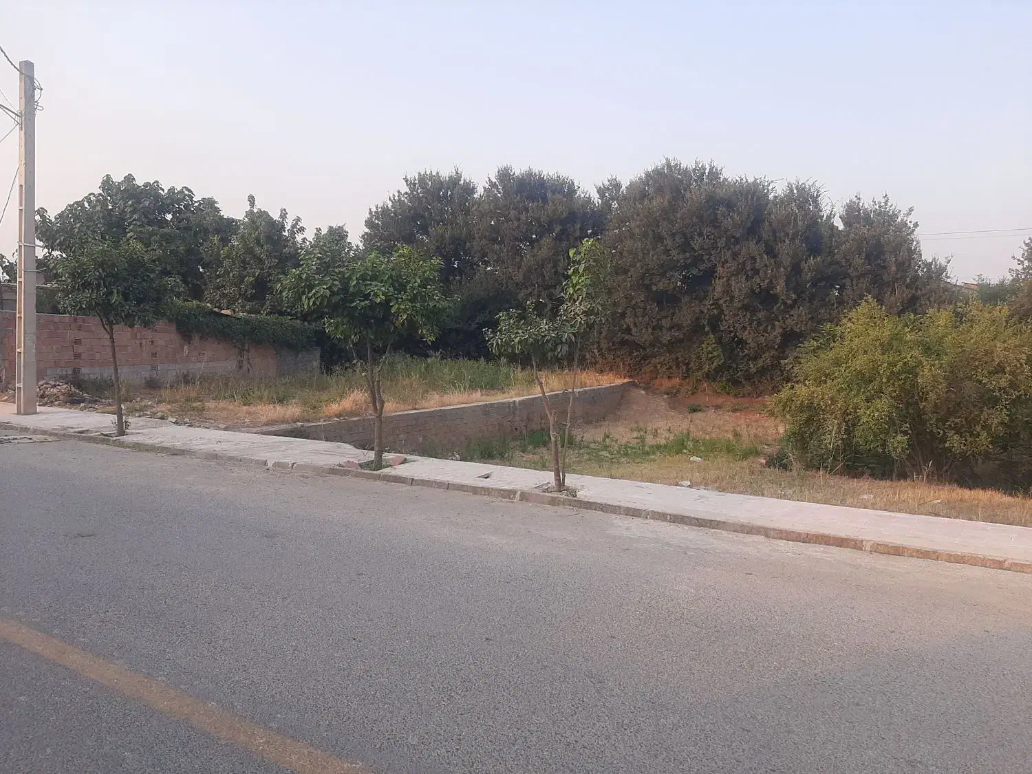 کف قیمت براصلی کمربندی سرخنکلاته جنب شهرک صنعتی|فروش زمین و ملک کلنگی|جلین, |دیوار