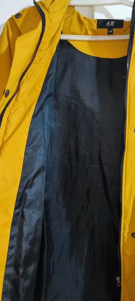 کاپشن بارانی خردلی زرد|لباس|تهران, درختی|دیوار