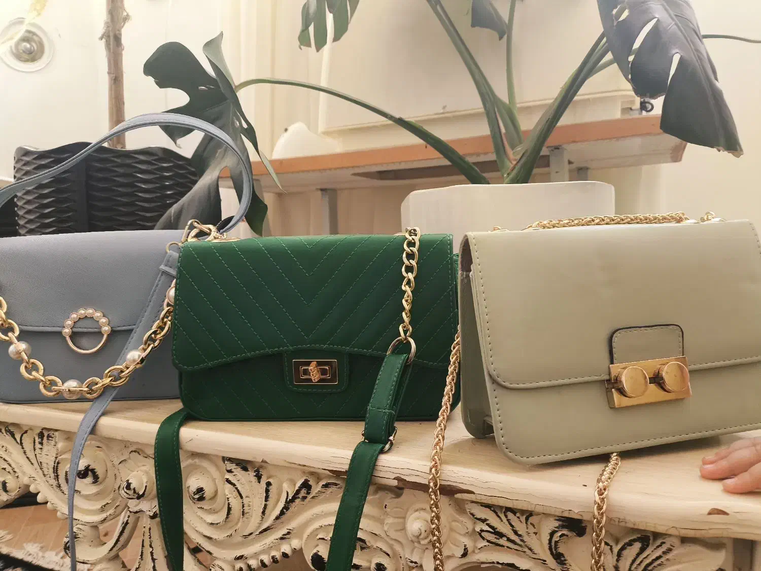 کیف نو|کیف، کفش، کمربند|بیرجند, |دیوار